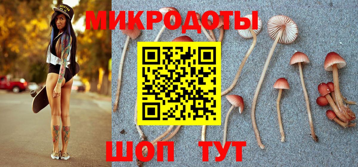Орёл  Псилоцибиновые грибы Magic Shrooms  Вход с VPN  Псилоцибиновые грибы мицелий 